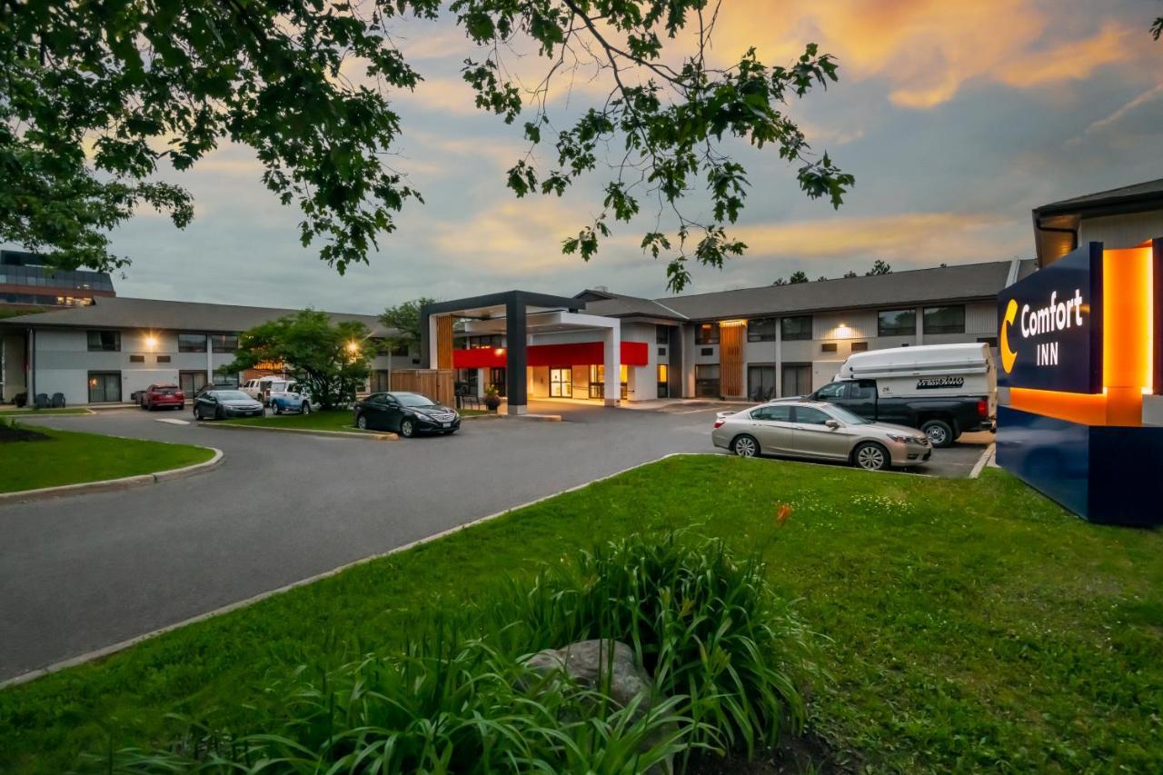 Comfort Inn West Ottawa Exterior foto